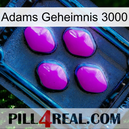 Adams Secret 3000 04